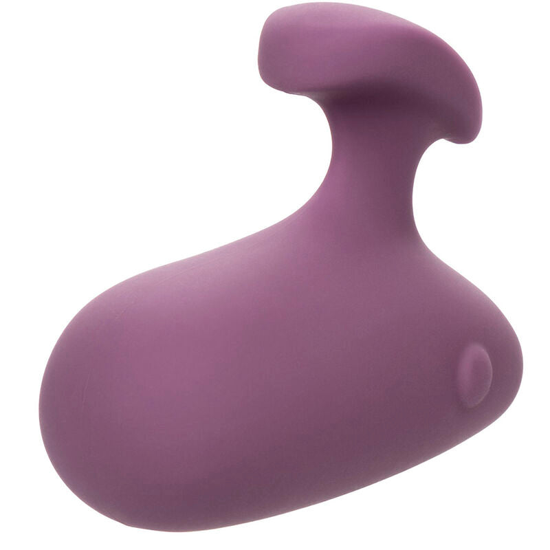 CALEXOTICS - STIMULATEUR MOD TOUCH VIOLET