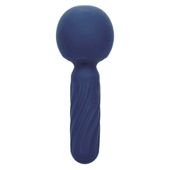 CALEXOTICS - CHARISMA SEDUCTION MASSEUR 12 FONCTIONS 17,75 CM X 6,25 CM VIOLET