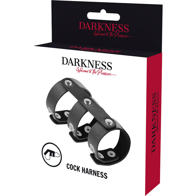 DARKNESS - DOUBLE ANNEAU DE PÉNIS ET TESTICULES EN CUIR RÉGLABLE